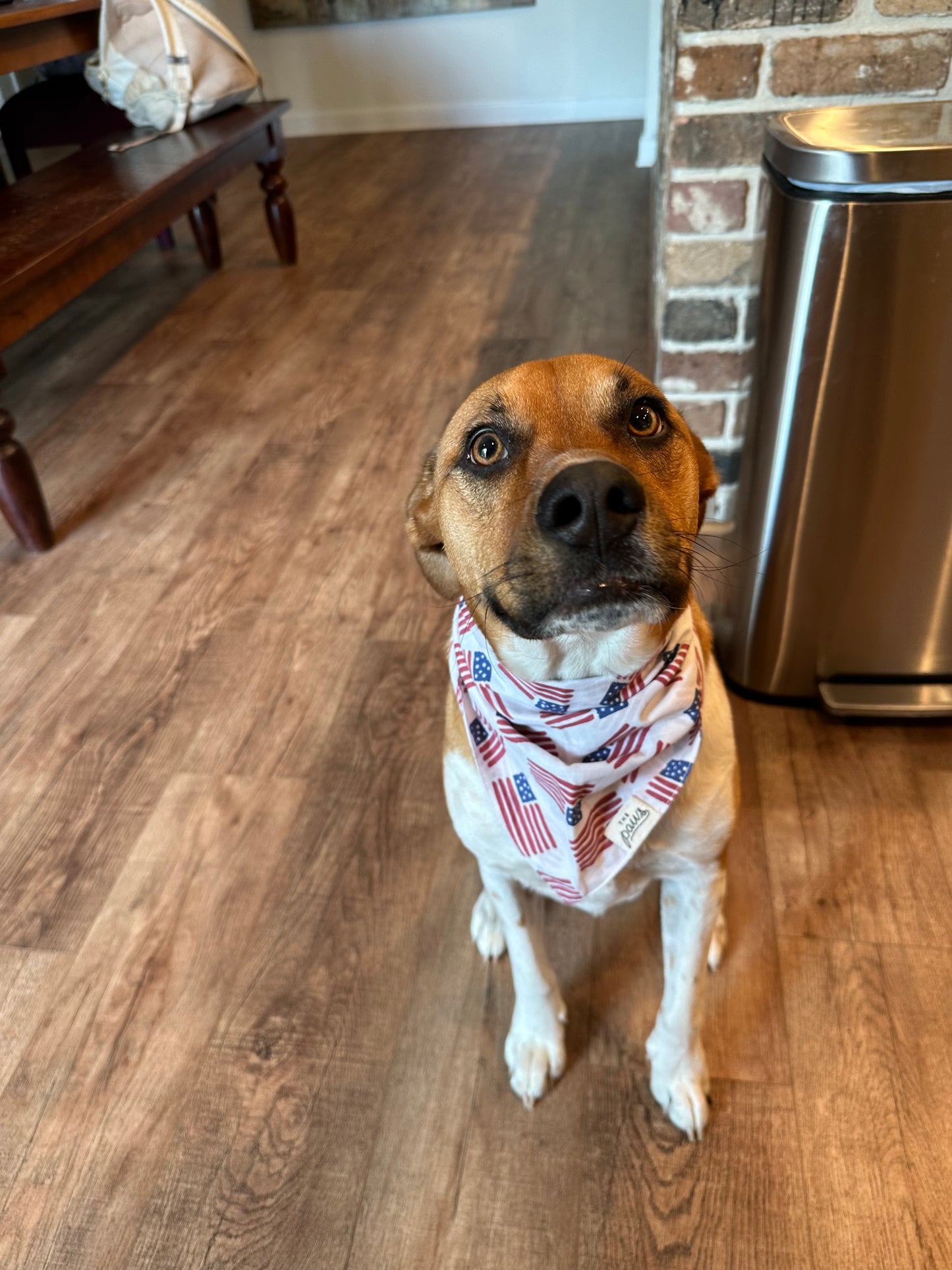 All American Dog Bandana