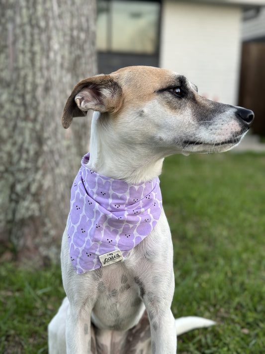 Hangin' With My Peeps Dog Bandana