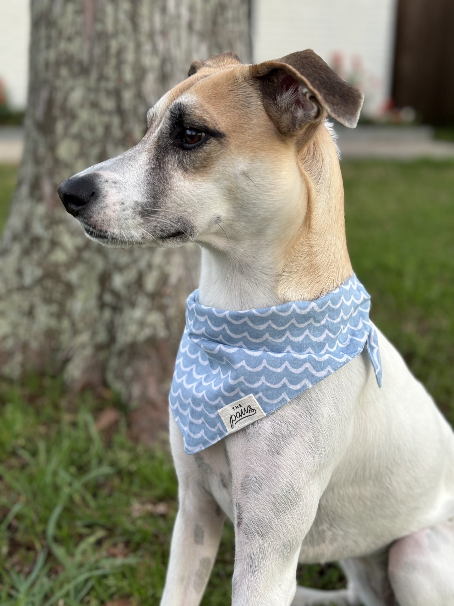 Perfect Wave Dog Bandana