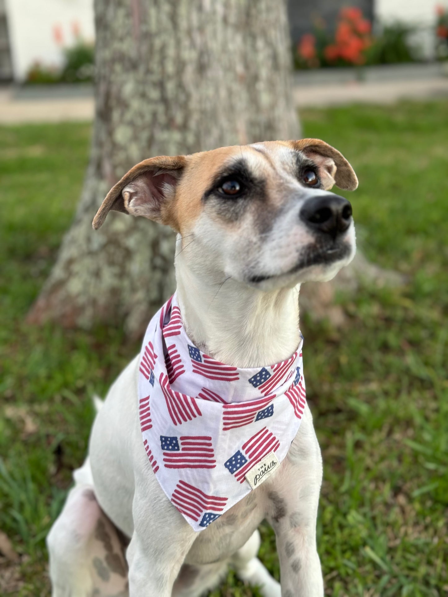 All American Dog Bandana